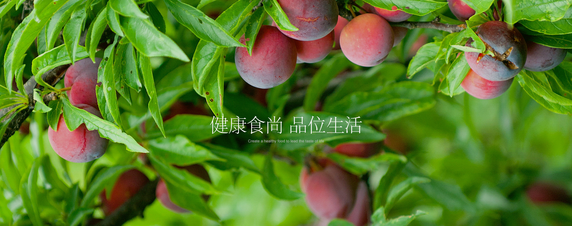 bitpie官网-比特派网站-比特派苹果下载